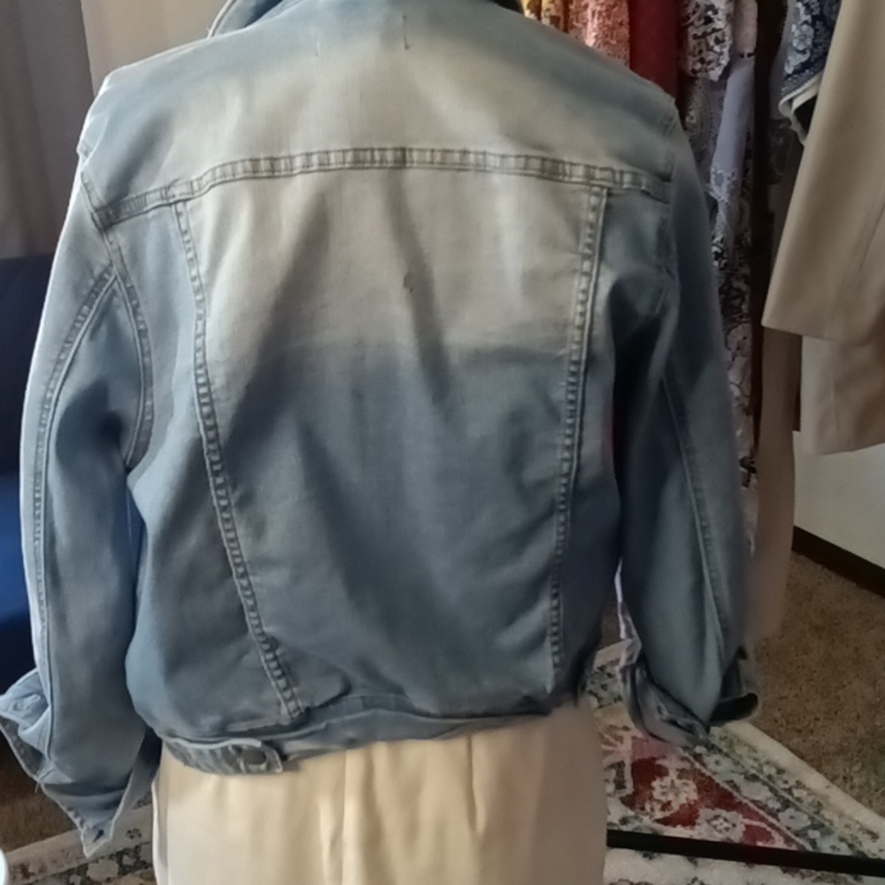 Painted Dolphins on Jacket